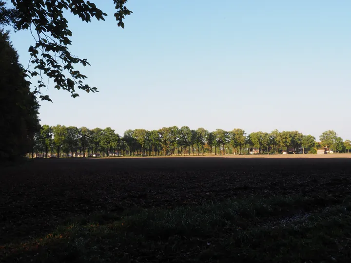 Vagevuurbos en Lippensgoed-Bulskampveld (België)